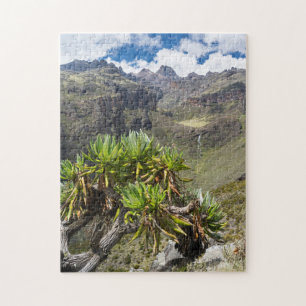 Puzzle Giant Groundsel ou Dendrosenecio