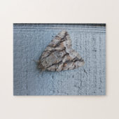 Puzzle Giant Moth Jigsaw (Horizontal)