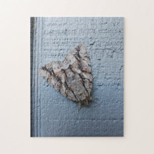 Puzzle Giant Moth Jigsaw