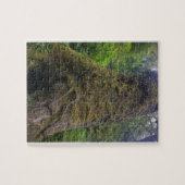 Puzzle Giant Sprace Tree, Cape Perpetua, Oregon (Horizontal)