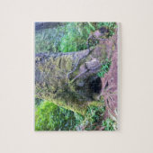 Puzzle Giant Sprace Tree, Cape Perpetua, Oregon (Vertical)