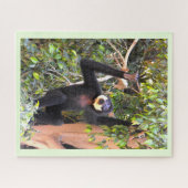 Puzzle Gibbon (Horizontal)