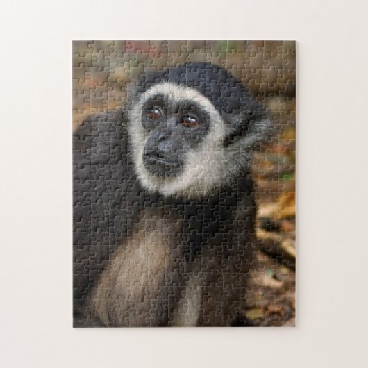 Puzzle Gibbon à mains blanches (Hylobates Lar), Monkeylan (Vertical)