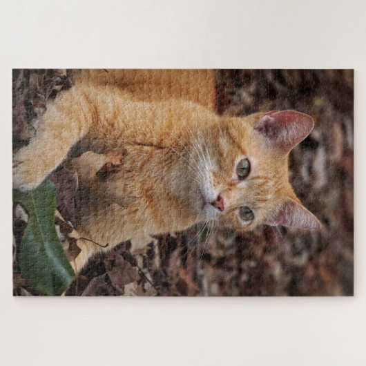Puzzle Ginger Chat devant l'automne automne Feuilles Port (Horizontal)