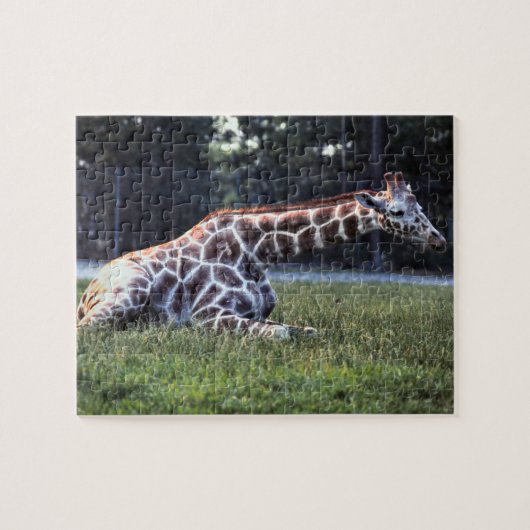 Puzzle Girafe de repos (Horizontal)