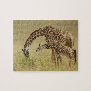 Puzzle Girafe Masai mère et bébé, Giraffa