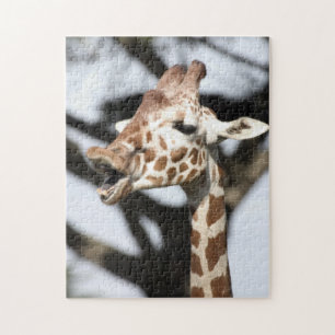 Puzzle Girafe réticulé au visage drôle, San Francisco