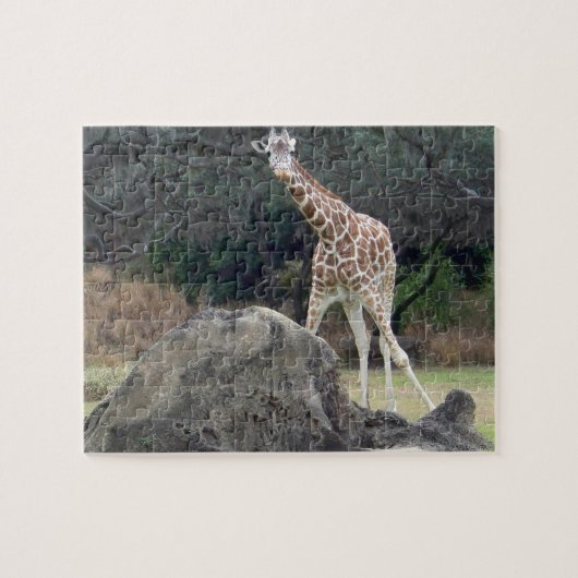 Puzzle Girafe réticulée du règne animal (Horizontal)