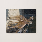 Puzzle girafes (Horizontal)