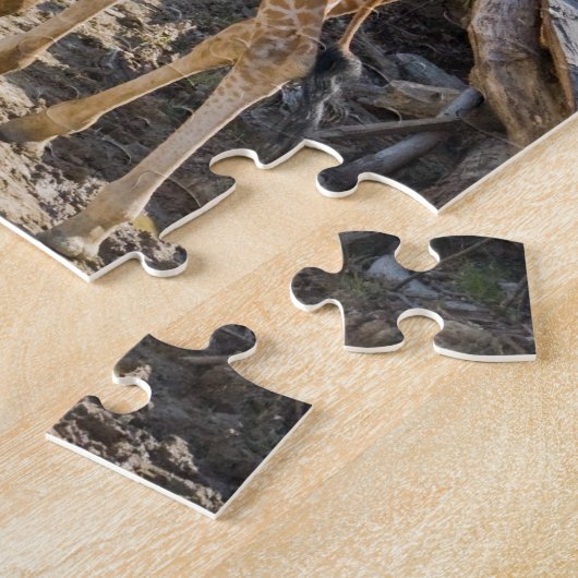 Puzzle girafes (Côté)