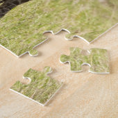 Puzzle Girafes maasaï, Giraffa camelopardalis 2 (Côté)