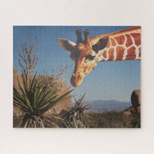 Puzzle Giraffat à Joshua Tree Park Travel Pittoresque mig