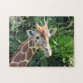 Puzzle Giraffe (Horizontal)