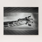 Puzzle Giraffe dans une cityscape (Horizontal)