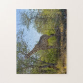 Puzzle Giraffe en habitat naturel, Afrique (Vertical)