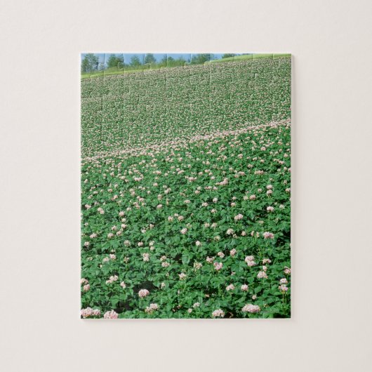 Puzzle Gisement 3 de pomme de terre (Vertical)
