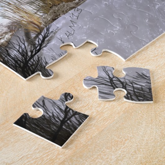 Puzzle gitan de cheval de Vanner (Côté)