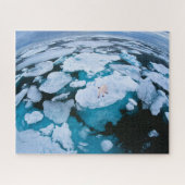 Puzzle Glace et neige | Ours polaire, Océan Arctique, Sva (Horizontal)