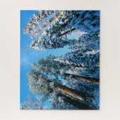 Puzzle Glace et neige | Parc national de Sequoia, Califor (Vertical)