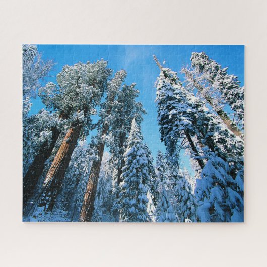 Puzzle Glace et neige | Parc national de Sequoia, Califor (Horizontal)