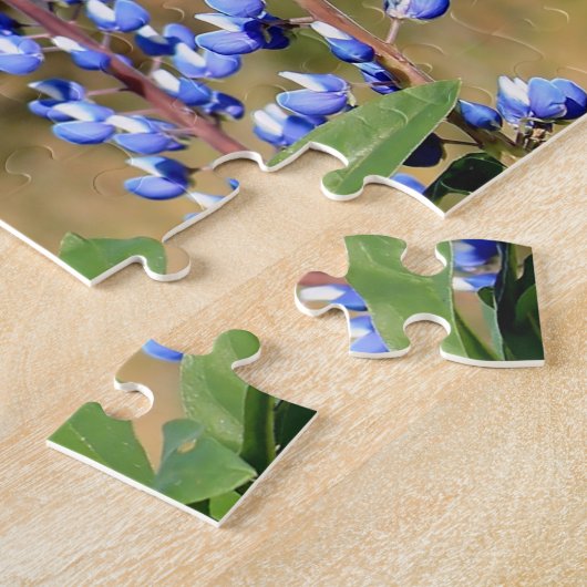 Puzzle Glacier Mendenhall Alaska (Côté)