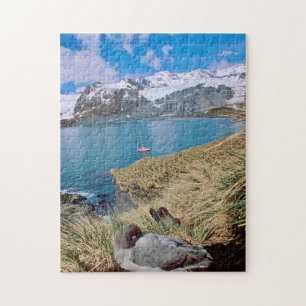 Puzzle Glaciers et yacht à voile en arrière-plan