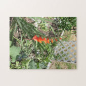 Puzzle glaïeuls orange (Horizontal)