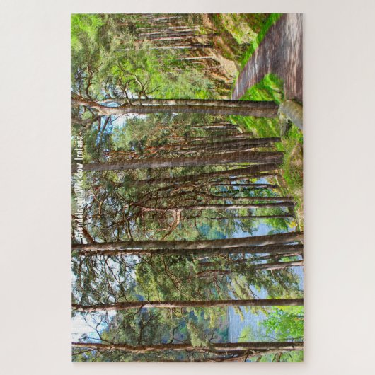 Puzzle Glendalough Wicklow Irlande (Vertical)
