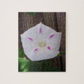 Puzzle Gloire du matin (Vertical)