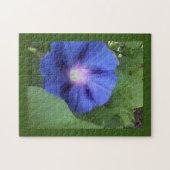 Puzzle gloire du matin bleu (Horizontal)