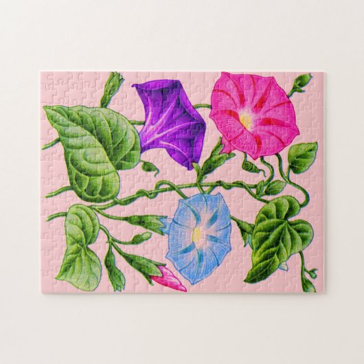 Puzzle gloire matinale (Horizontal)