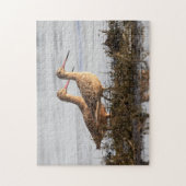 Puzzle Godwits marbrés Roiseaux de rivage errant Blackie  (Vertical)