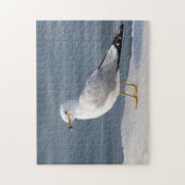 Puzzle Goéland sur glace (Vertical)