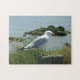 Puzzle - Goéland sur Piling