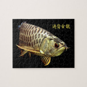 Puzzle Golden Arowana