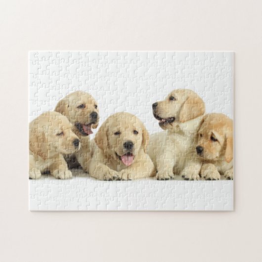Puzzle Golden Labrador Pupile (Horizontal)