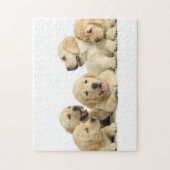 Puzzle Golden Labrador Pupile (Vertical)