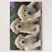Puzzle Golden Retreiver Puppies Jigsaw (Vertical)