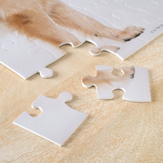 Puzzle Golden Retriever (Côté)