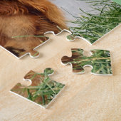 Puzzle Golden retriever (Côté)