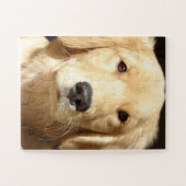 Puzzle Golden Retriever (Horizontal)
