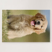 Puzzle Golden Retriever (Horizontal)