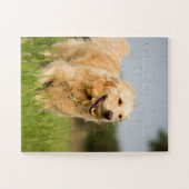Puzzle Golden Retriever avec balle (Horizontal)