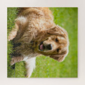 Puzzle Golden Retriever Chien (Horizontal)