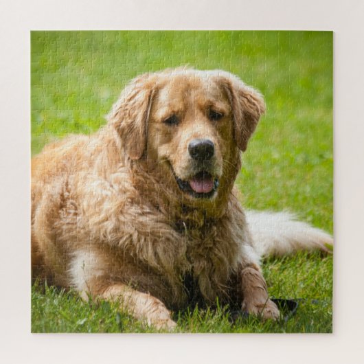 Puzzle Golden Retriever Chien (Vertical)