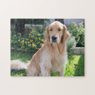 Puzzle Golden Retriever Cute Dog Photo Flowers Pet
