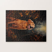 Puzzle Golden Retriever la nuit (Horizontal)