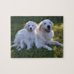 Puzzle Golden Retriever maman et chiot<br><div class="desc">Photo adorable d'une mère fière récupératrice et de son chiot.</div>