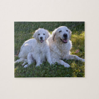 Puzzle Golden Retriever maman et chiot