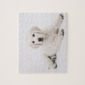 Puzzle Golden Retriever Photo (Vertical)
